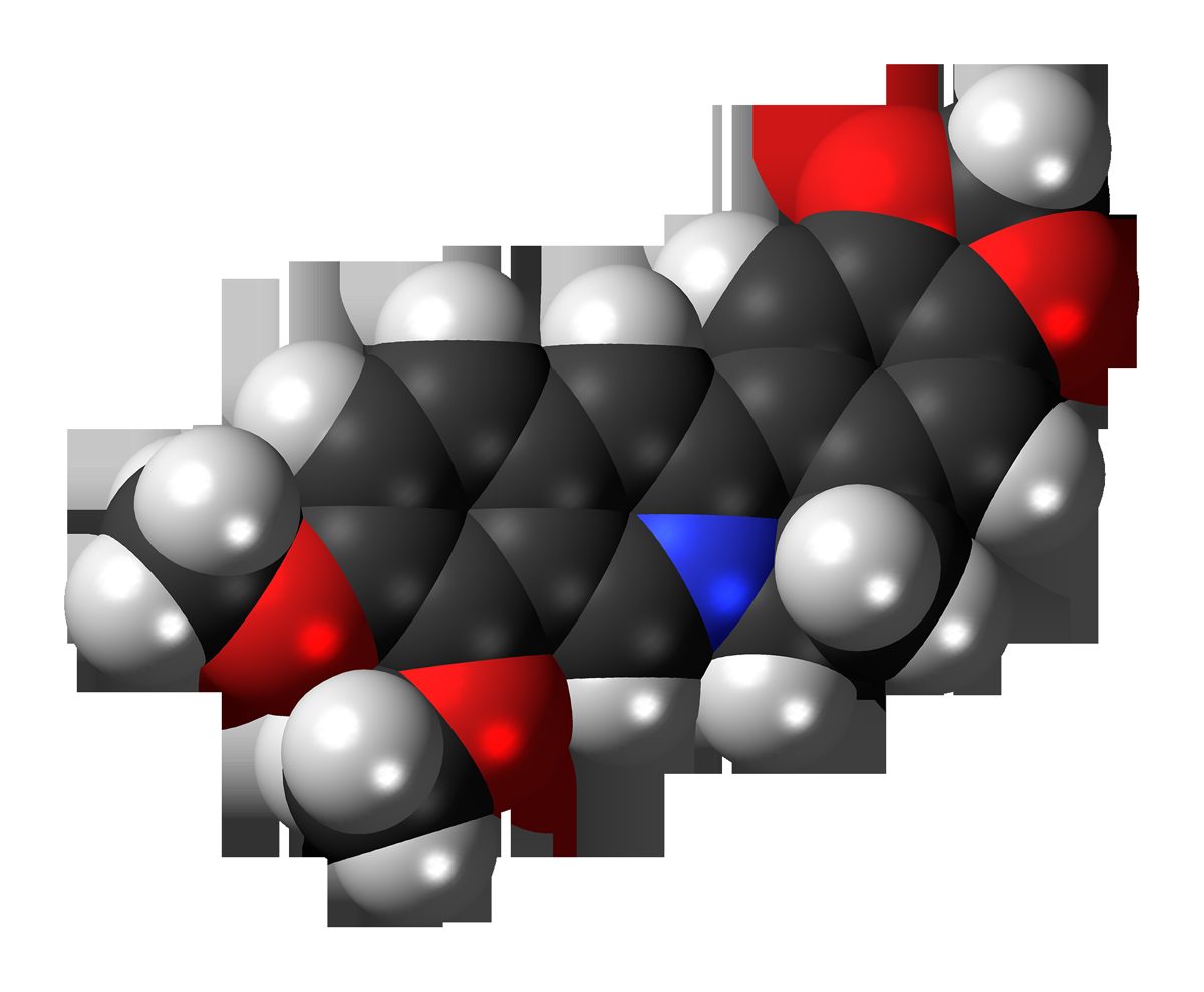 berberine capsules next to glucose meter